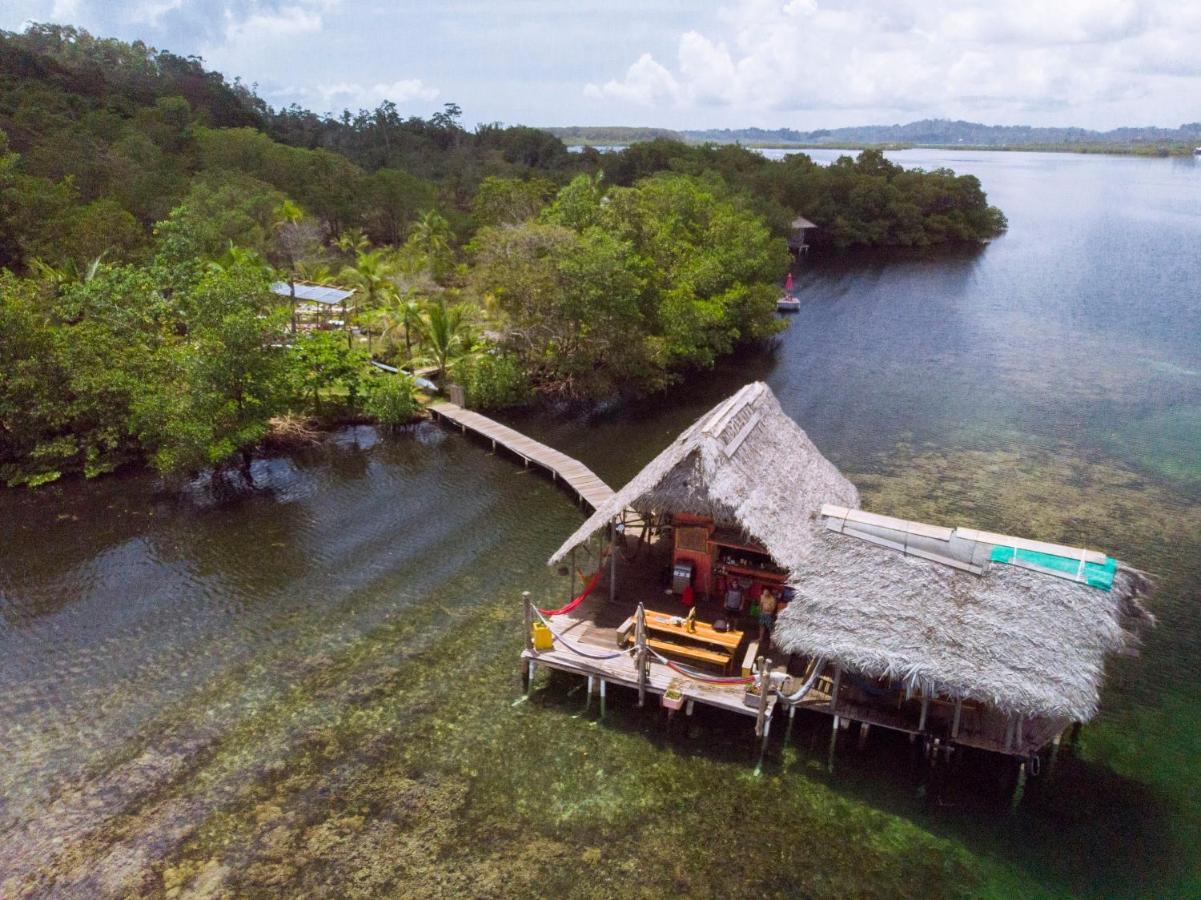 Hotel CocoVivo Bocas del Toro Esterno foto