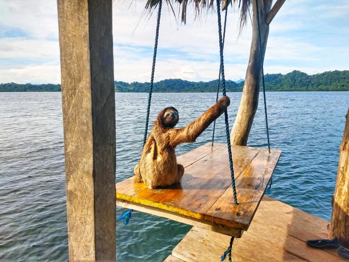 Hotel CocoVivo Bocas del Toro Esterno foto