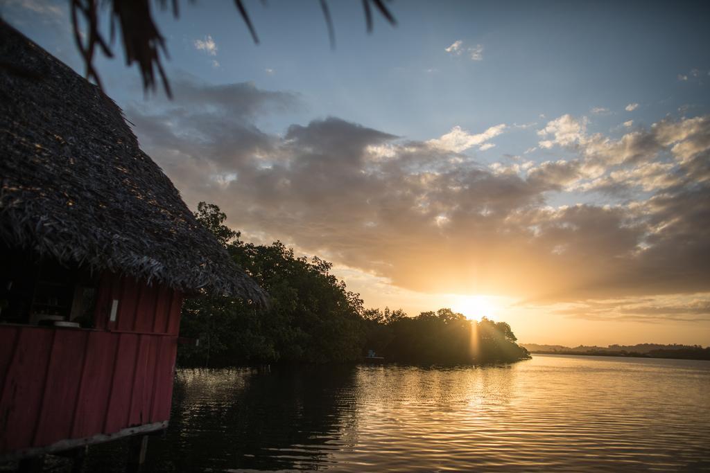 Hotel CocoVivo Bocas del Toro Esterno foto