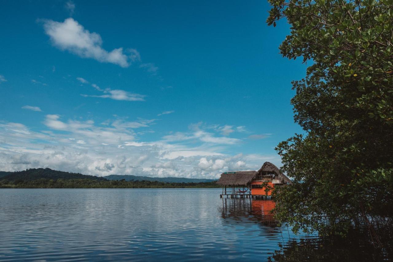 Hotel CocoVivo Bocas del Toro Esterno foto